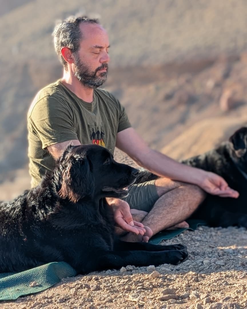 Dogfulness: La ansiedad se disipa