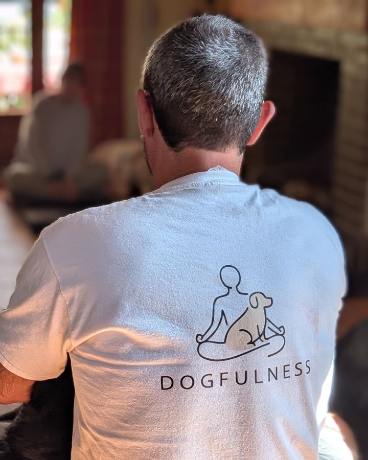 Dogfulness: Montaña que ordena la cabeza