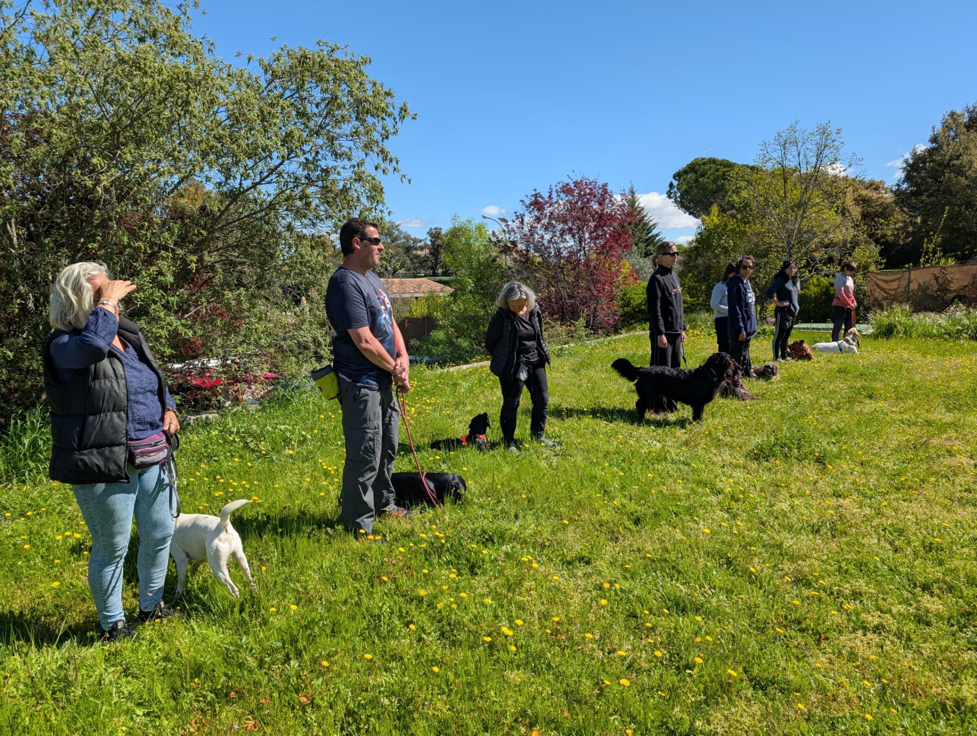Dog Adventure: Retos y juegos