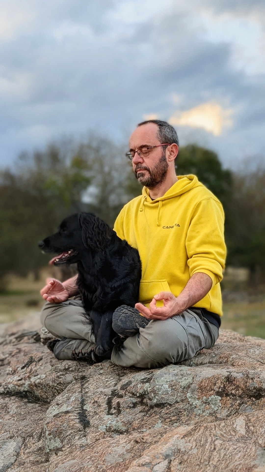 Dogfulness — experiencia Still Alive