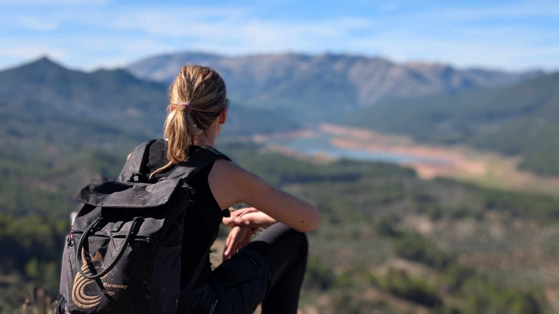 Nature Reset — experiencia Still Alive